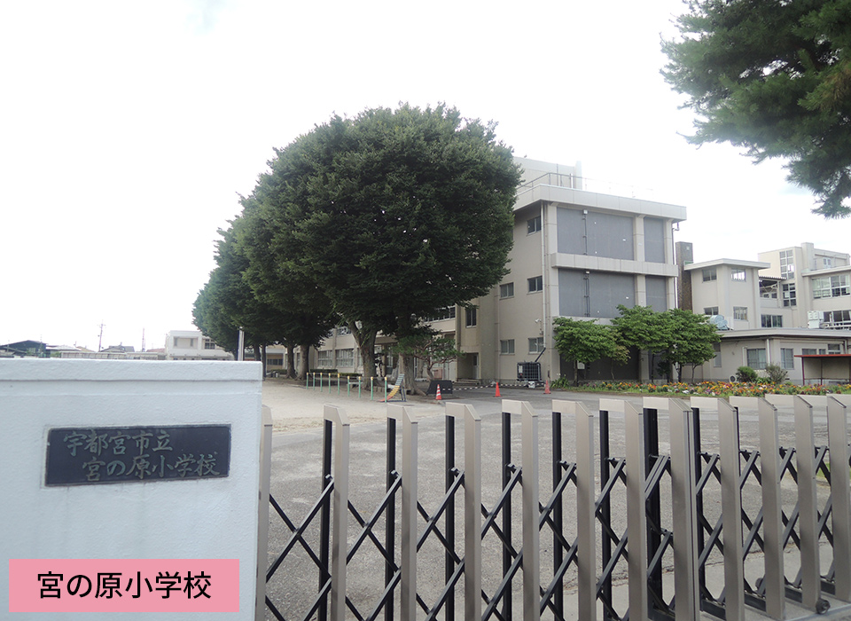 宮の原小学校